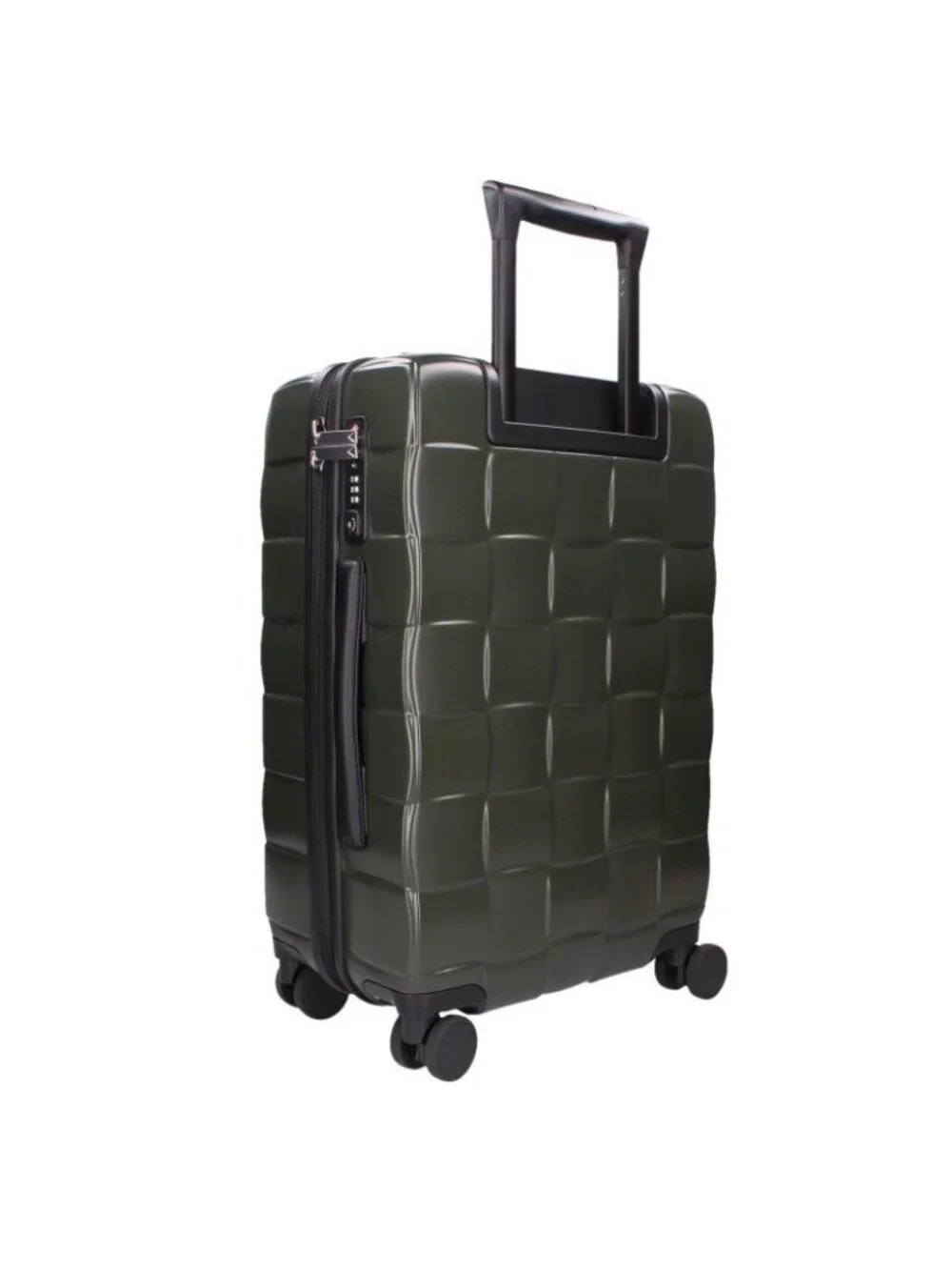 Bottega Veneta Odyssey Cabin Suit Carry Case